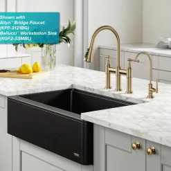 Allyn 100% Lead-Free Kitchen Water Filter Faucet in Brushed Gold