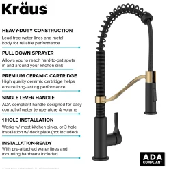 Commercial Style 2-Function Single Handle Pull Down Kitchen Faucet in Spot-Free Brushed Brass / Matte Black
