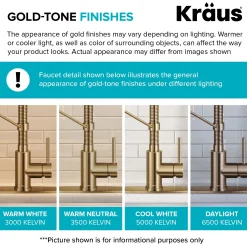 Commercial Style 2-Function Single Handle Pull Down Kitchen Faucet in Spot-Free Brushed Brass