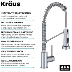Commercial Style 2-Function Single Handle Pull Down Kitchen Faucet in Chrome
