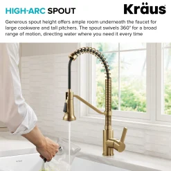 Commercial Style 2-Function Single Handle Pull Down Kitchen Faucet in Spot-Free Brushed Brass