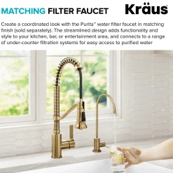 Commercial Style 2-Function Single Handle Pull Down Kitchen Faucet in Spot-Free Brushed Brass