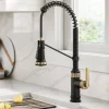 Commercial Style 2-Function Single Handle Pull Down Kitchen Faucet in Spot-Free Brushed Brass / Matte Black
