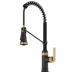 Commercial Style 2-Function Single Handle Pull Down Kitchen Faucet in Spot-Free Brushed Brass / Matte Black