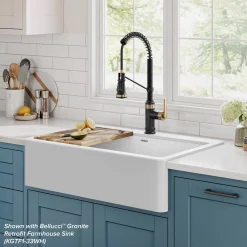 Commercial Style 2-Function Single Handle Pull Down Kitchen Faucet in Spot-Free Brushed Brass / Matte Black