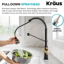 Commercial Style 2-Function Single Handle Pull Down Kitchen Faucet in Spot-Free Brushed Brass / Matte Black