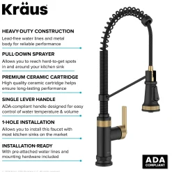 Commercial Style 2-Function Single Handle Pull Down Kitchen Faucet in Spot-Free Brushed Brass / Matte Black