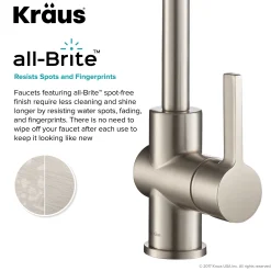 Commercial Style Kitchen Faucet with Deck Plate and Soap Dispenser in all-Brite Spot Free Stainless Steel