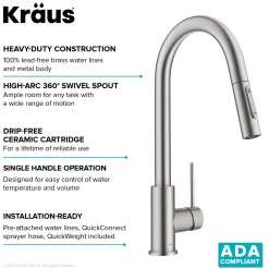 Contemporary Pull-Down Single Handle Kitchen Faucet in Spot Free Stainless Steel