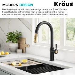2-Function Single Handle Pull Down Kitchen Faucet in Spot-Free Brushed Brass / Matte Black