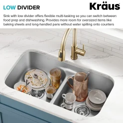 Premier 32” Undermount 50/50 Double Bowl with Low Divider 18-Gauge Stainless Steel Kitchen Sink with WasteGuard™ Continuous Feed Garbage Disposal