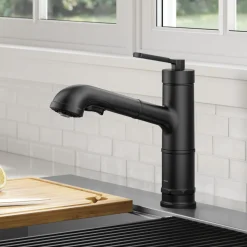 Pull-Out Single Handle Kitchen Faucet in Matte Black