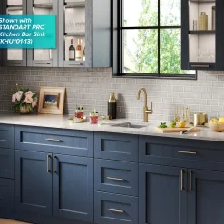 Single Handle Kitchen Bar Faucet in Brushed Brass