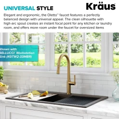 Single Handle Pull Down Kitchen Faucet in Spot-Free Brushed Brass
