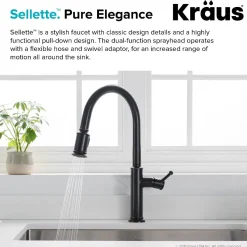 Single Handle Pull-Down Kitchen Faucet in Oil Rubbed Bronze