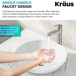Single Handle Vessel Bathroom Faucet in Spot-Free Brushed Nickel / Matte Black with Pop Up Drain and Supply Lines