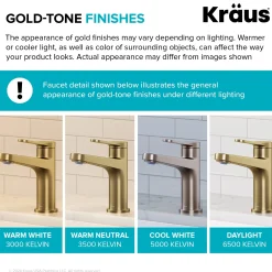 Single Handle Vessel Bathroom Faucet in Spot-Free Brushed Brass / Matte Black with Pop Up Drain and Supply Lines
