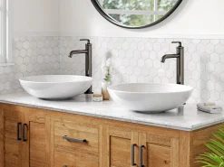 Single Handle Vessel Bathroom Faucet with Pop-Up Drain in Spot Free Stainless Steel (2-Pack)